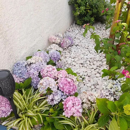 Mediterraneo Madeira